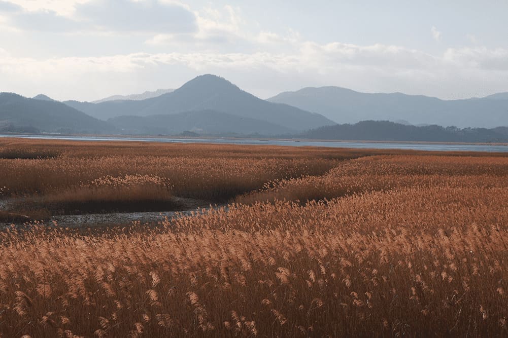 순천만 용산전망대
