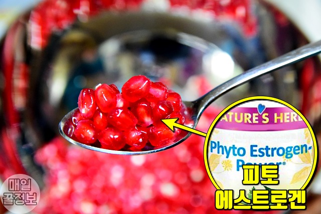 석류 효능 여성 주부 갱년기 증상 좋은 식품 음식, 건강 팁줌