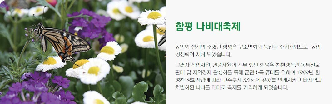 함평 나비 축제