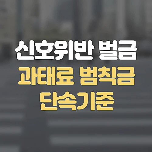 신호위반-벌금-과태료-단속기준-알아보기