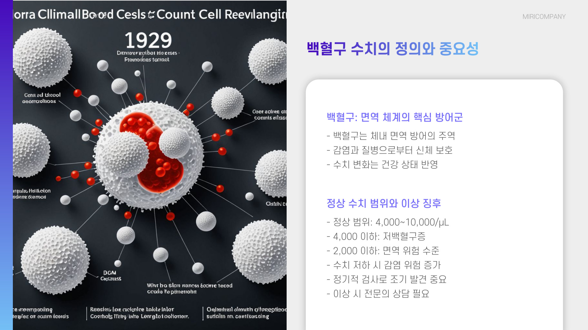 백혈구 수치가 낮으면 나타나는 증상