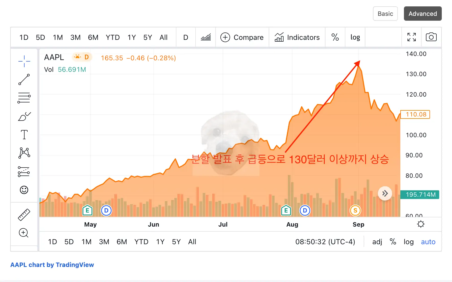 애플 주식분할 발표 후 급등하는 차트