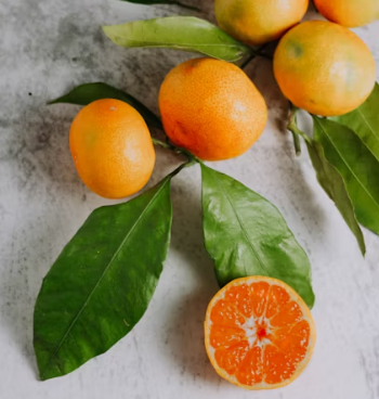 귤 효능 부작용 칼로리 고르는법