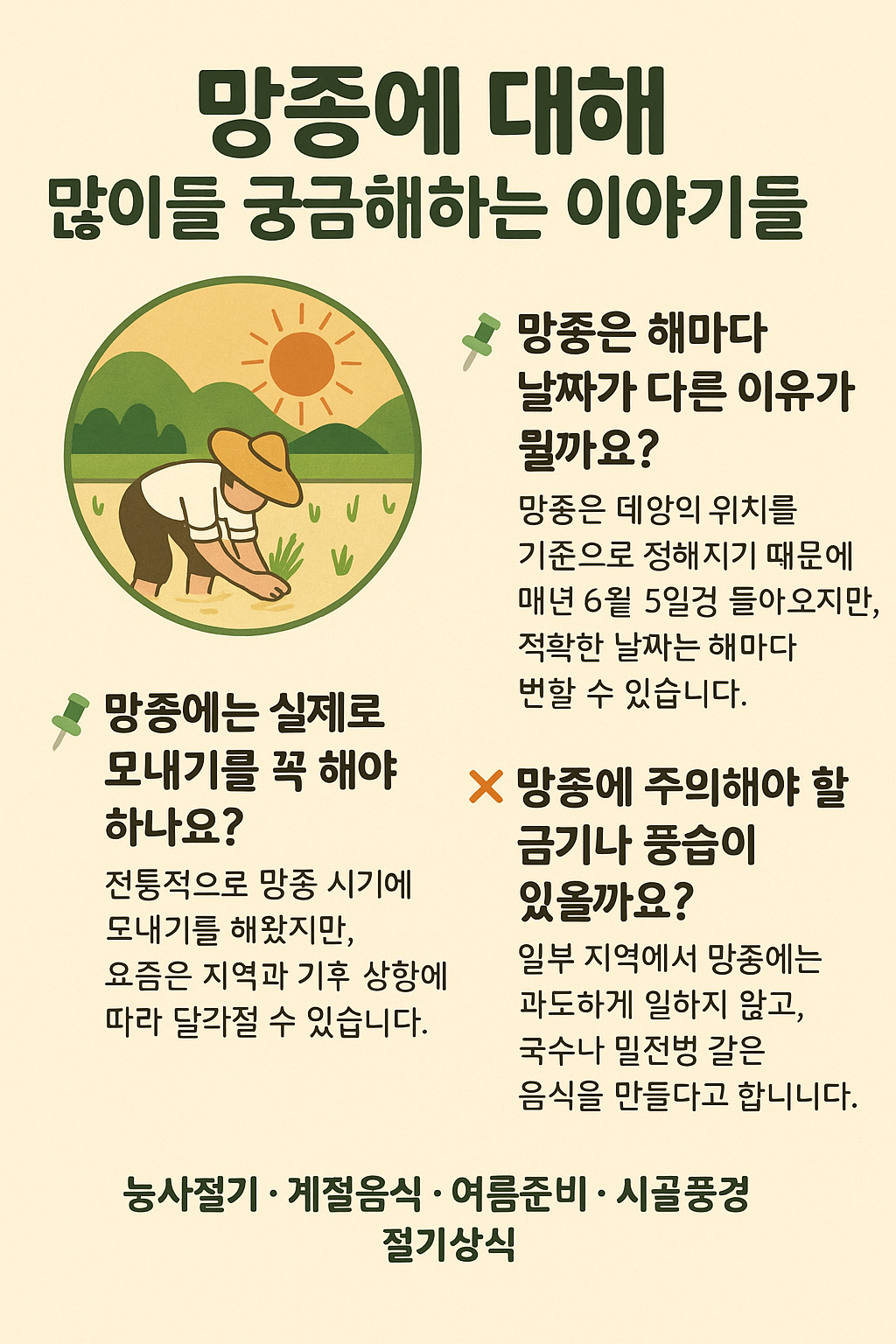 망종, 보리 수확과 모내기 사이의 그 짧은 틈