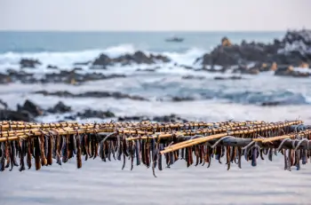 과메기 가격 및 효능, 영양성분과 주의점