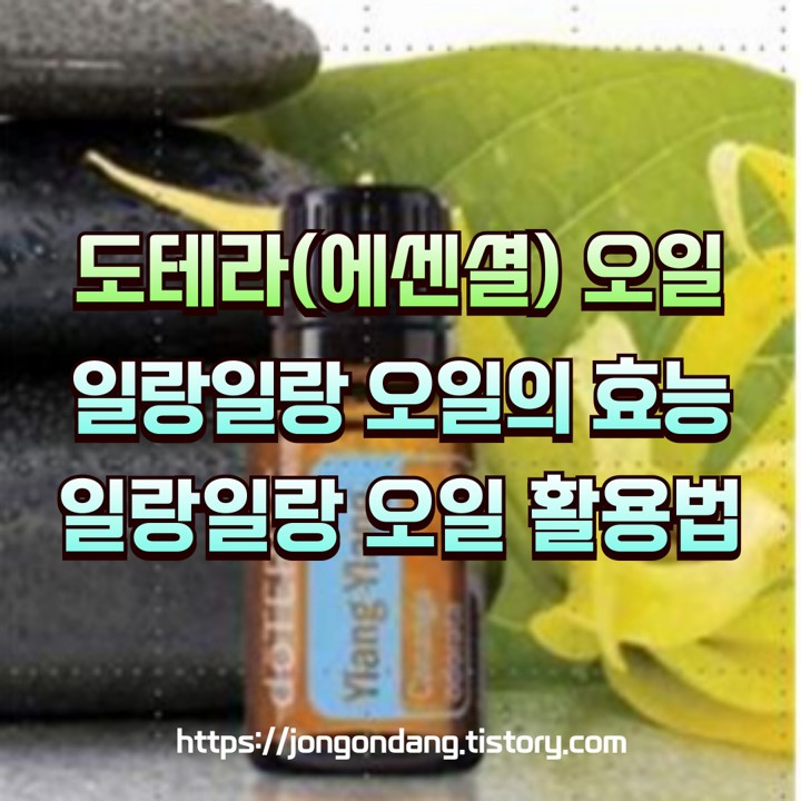 도테라 일랑일랑 오일 특성 및 효능과 활용법 이미지