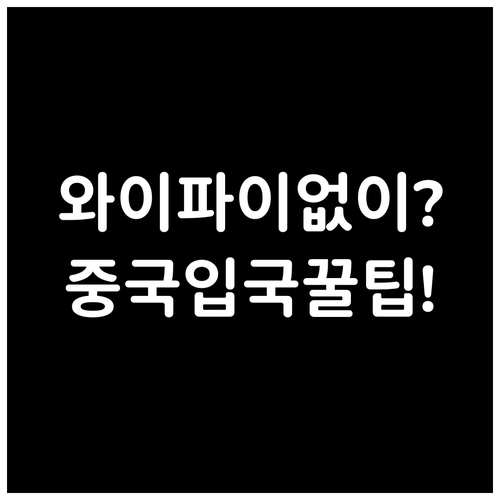 중국 입국신고서, 공항 와이파이 없이..