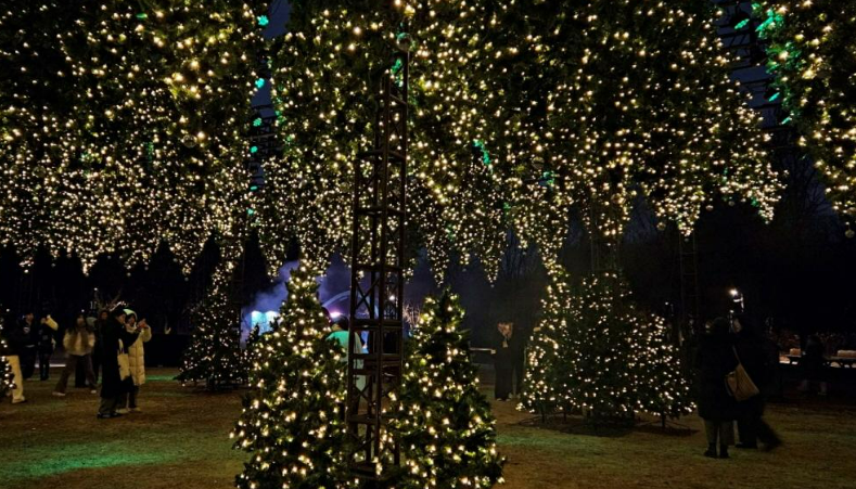 겨울빛 윈터라이트 전시장 사진