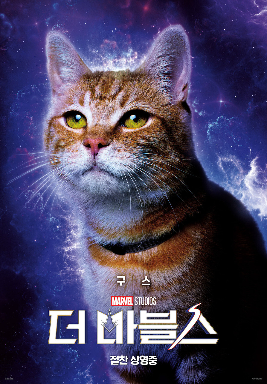 더 마블스