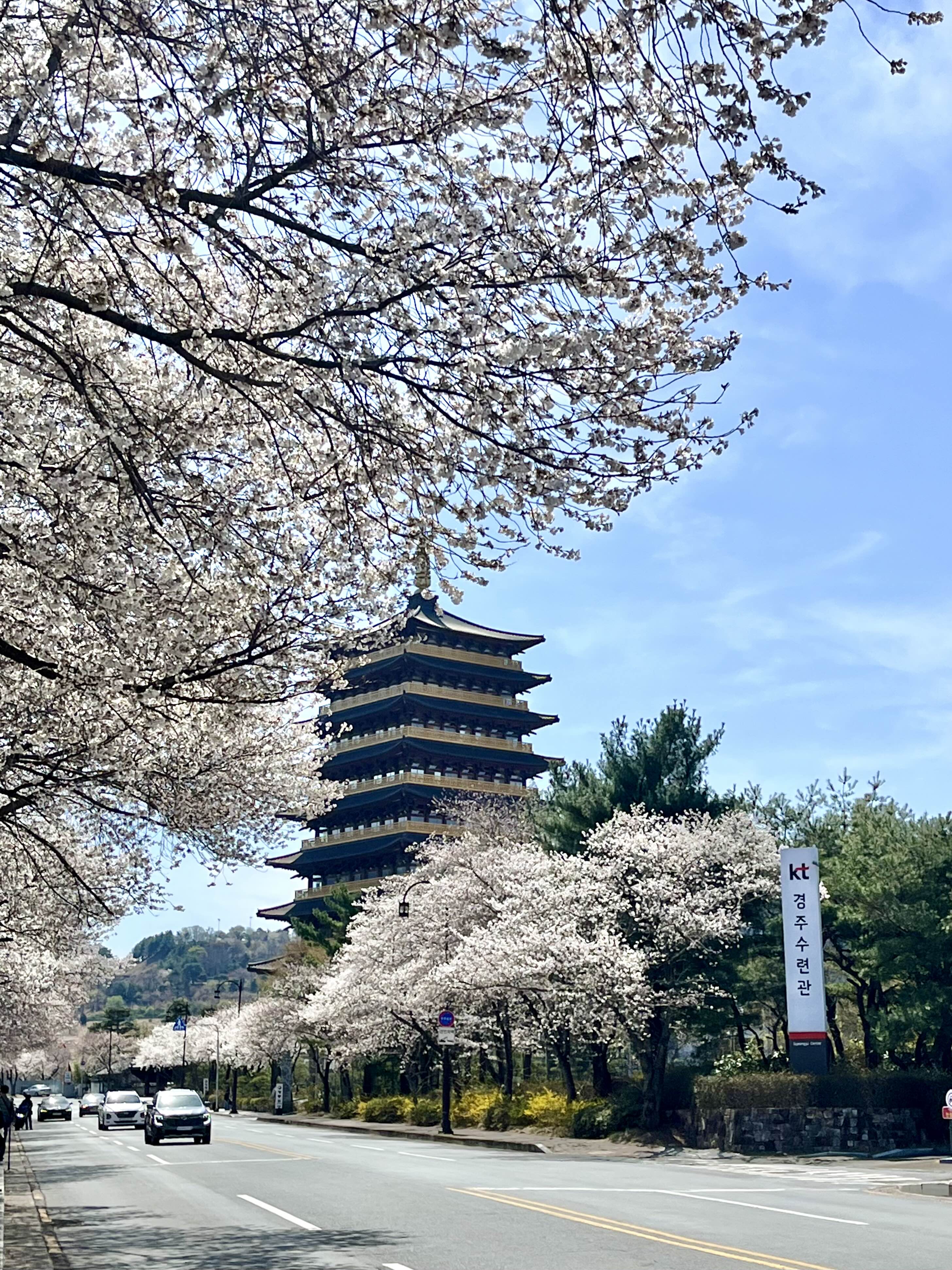 경주 황룡원