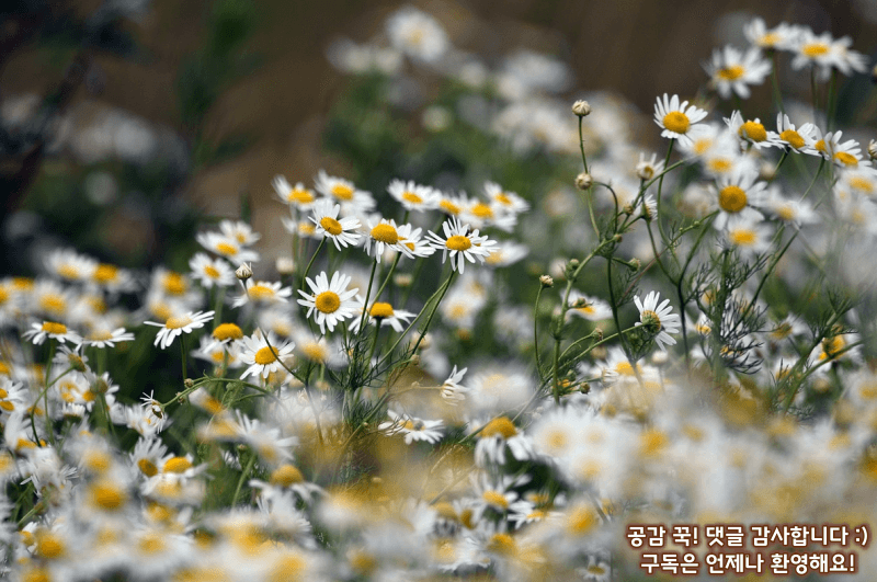 유통기한 지났어도 먹어도 되는 음식은?