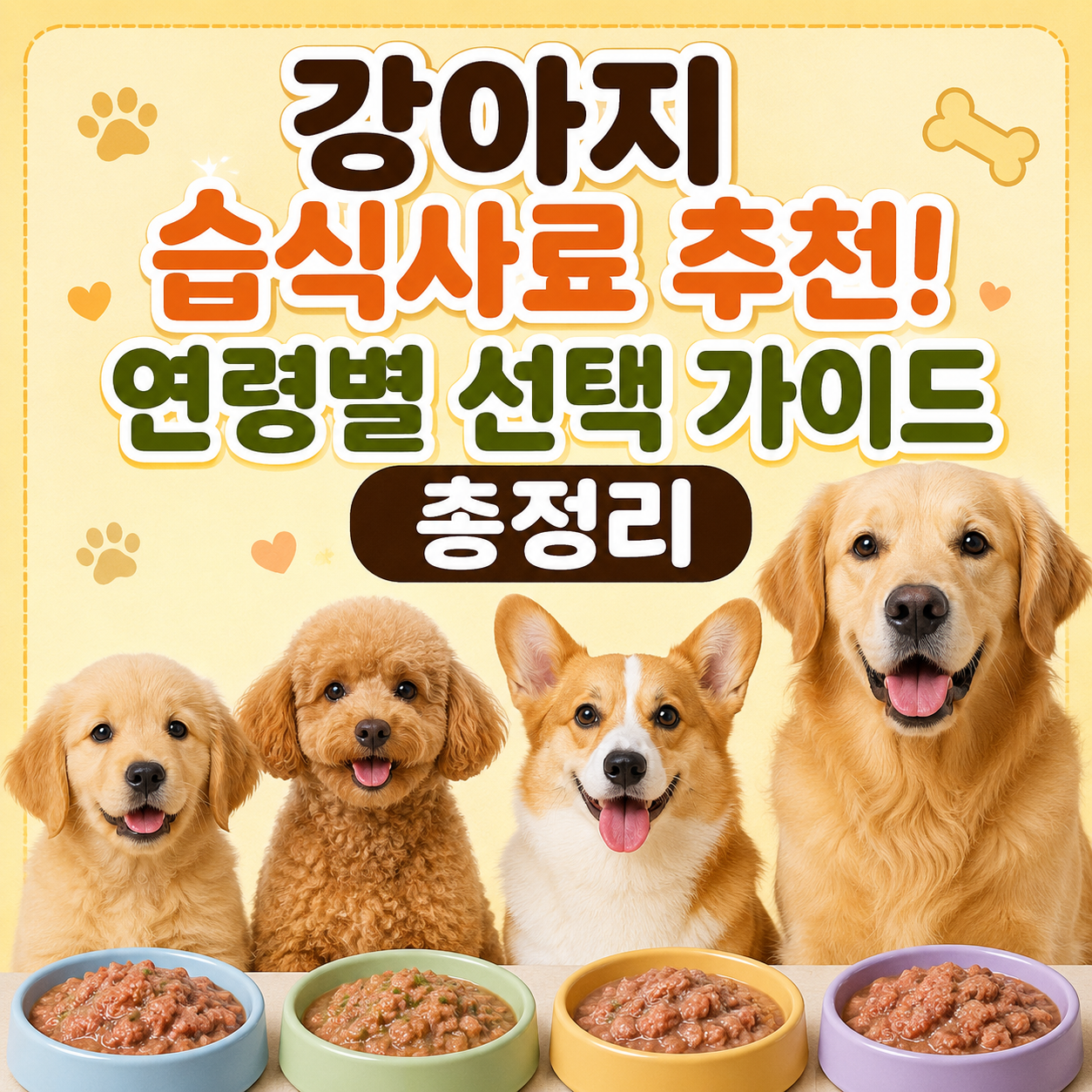강아지 습식사료