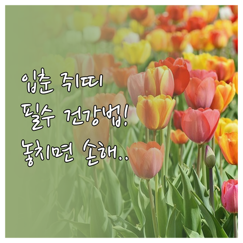 무자년 쥐띠 2월 입춘 맞이 건강 관..