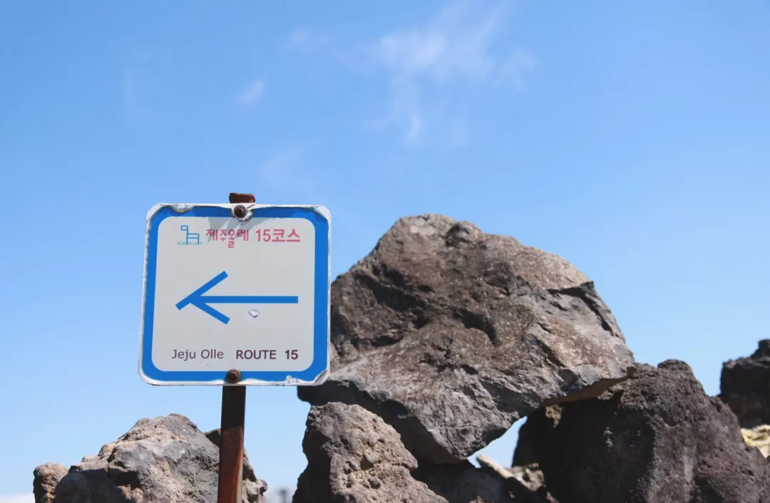 제주 올레길 15코스 A코스 완벽 가이드: 한림항부터 고내포구까지 걷는 내륙 트레일 안내