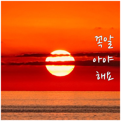 2025 청주시 공영주차장 요금 감면..