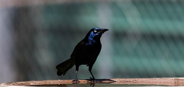 국민은행 영업시간 및 휴무일 26
