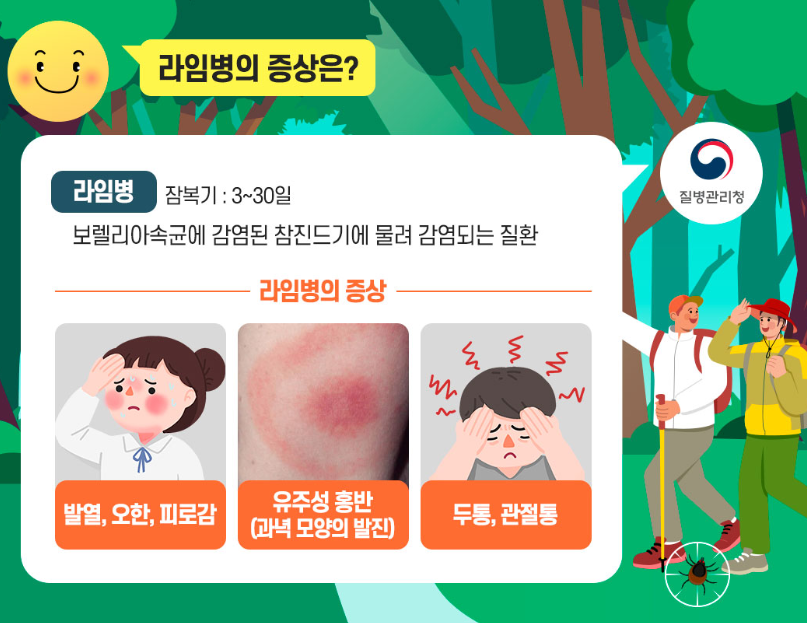 라임병 증상