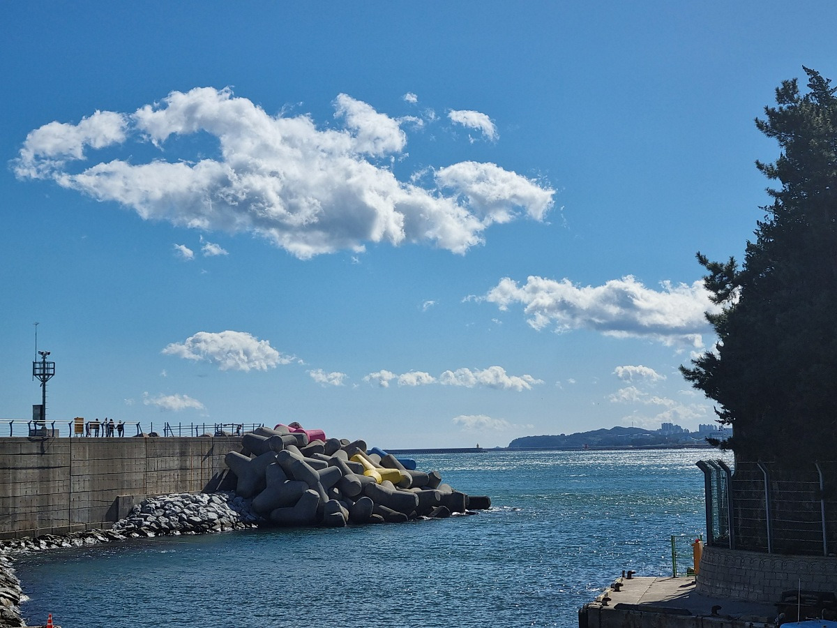 동해 가볼만한곳 천곡항 후기 &amp;#124; 수상 레저와 감성돔 낚시&amp;#44; 작은 항구 매점