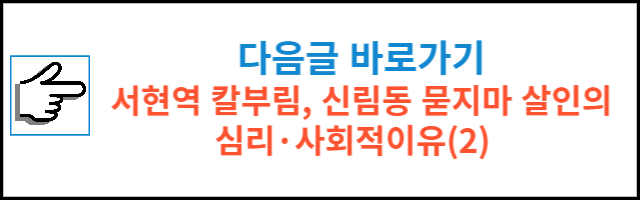 서현역 칼부림, 신림동 묻지마 살인