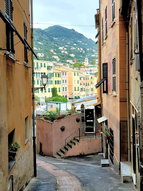 해외 여행 중 감기·독감·코로나 걸리면 보험 처리 가능할까|보장 기준 총정리