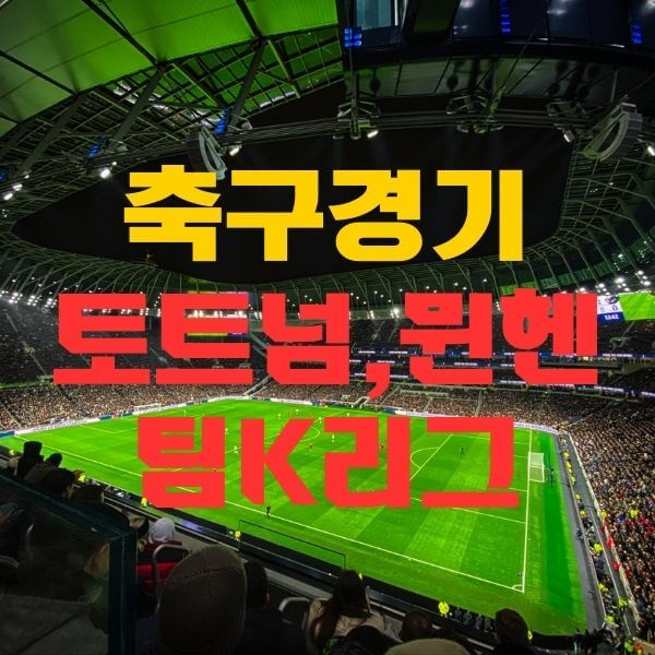 토트넘 뮌헨, 팀K리그