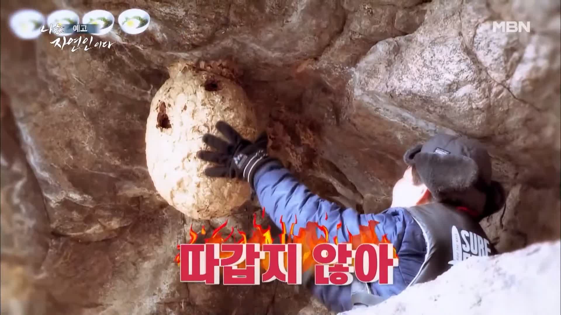 나는 자연인이다 전 재산 사기 후 얻은 반려견 자유로운 삶 내 마음은 호수 자연인 황창환 소개 및 이승윤 출연 539회 다시보기