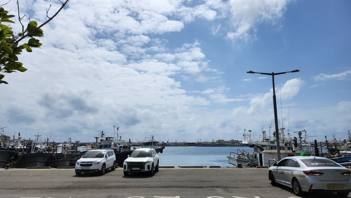 경북 포항 유림식당 모리국수리뷰