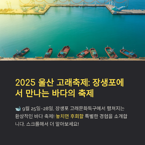 울산 고래축제 완전 정리: 일정&middot;프로그램&middot;맛집&middot;교통 안내