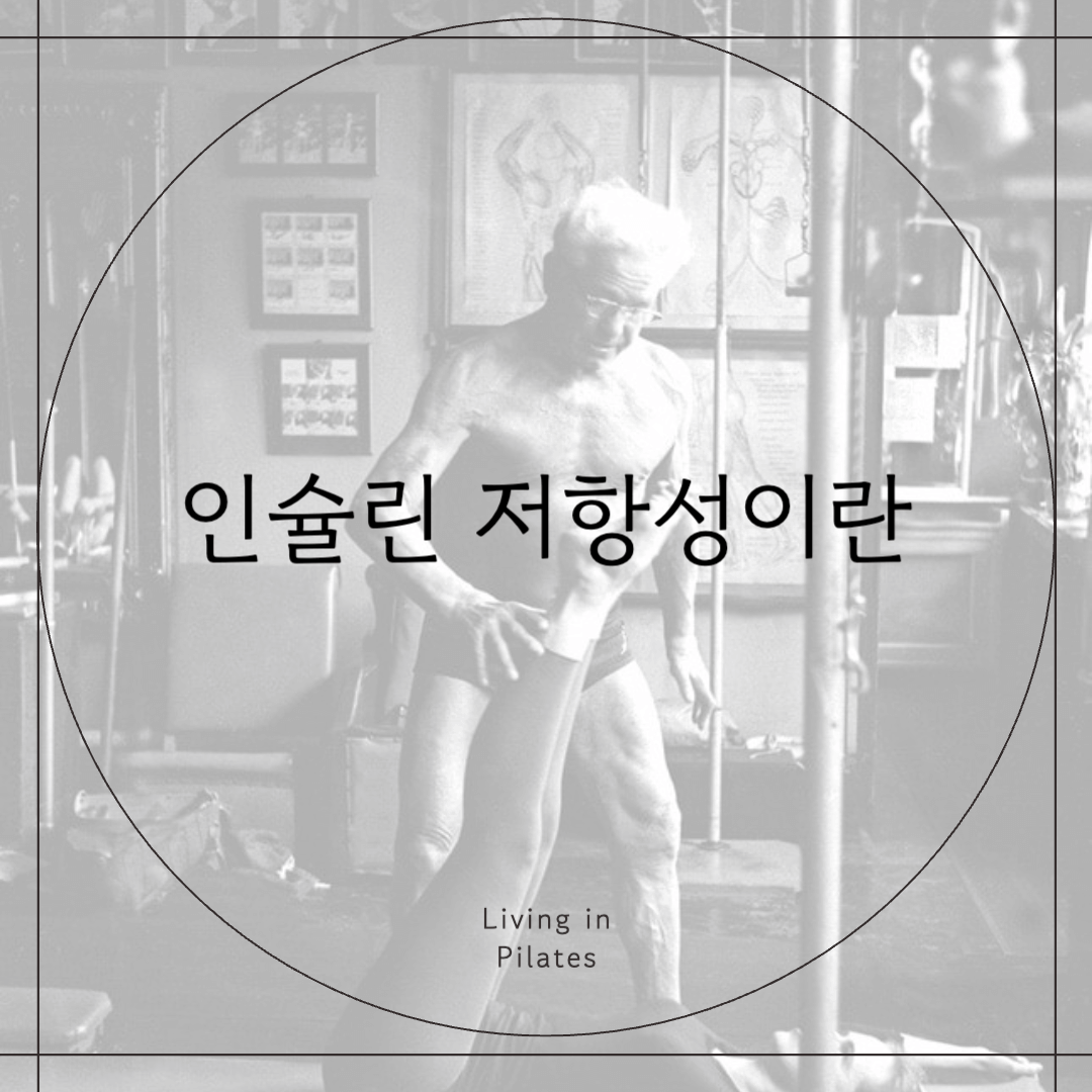 인슐린 저항성
