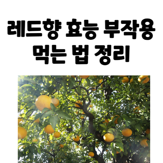 레드향의 효능과 부작용&#44; 먹는 법