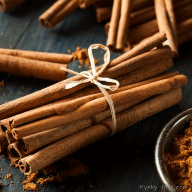 시나몬 (Cinnamon), 시나몬 오일