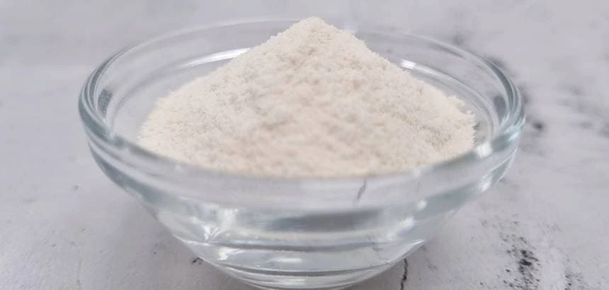 락토프리 덴마크 유산균 추천