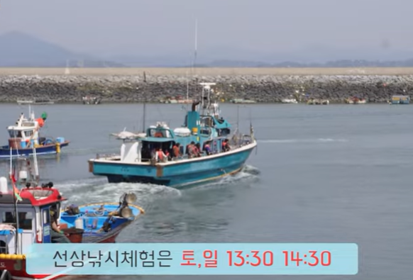 동백정 선상 낚시 체험