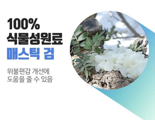 매스틱 효능