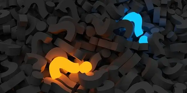 도서관 투어가 여행이 된다? '북 투어리즘'의 세계