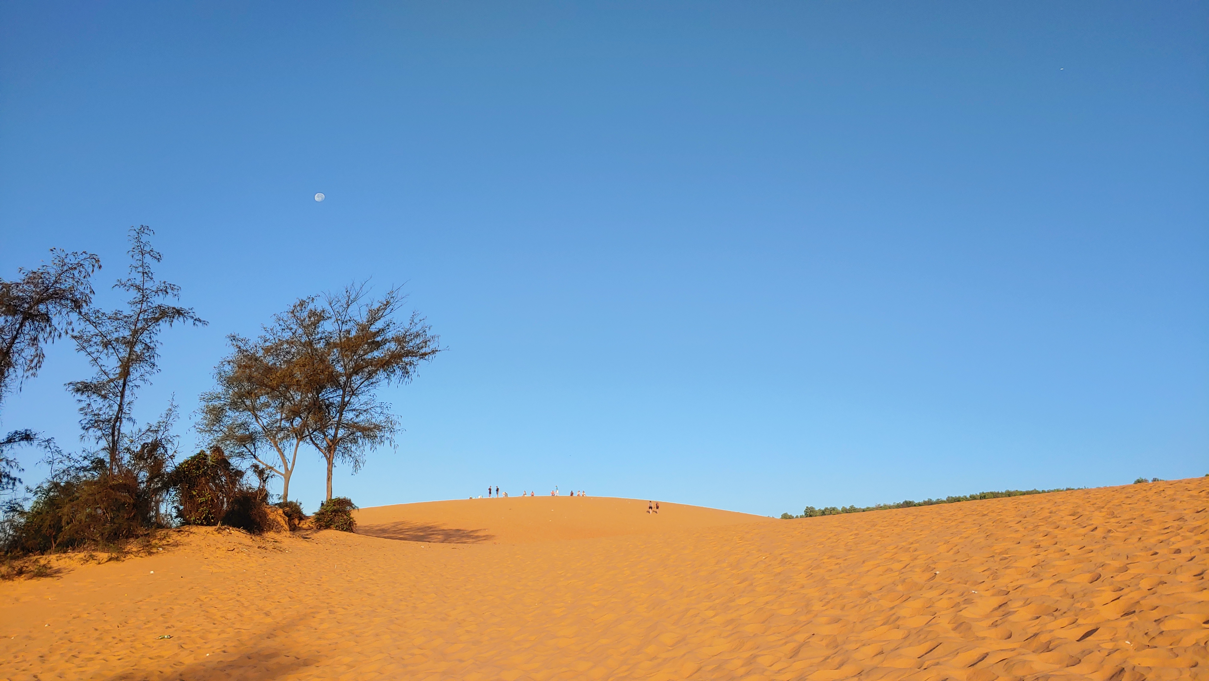 붉은모래사막 레드 샌듄의 새벽