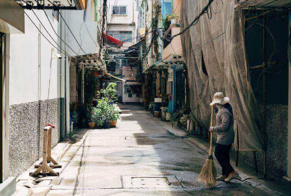 집먼지-진드기