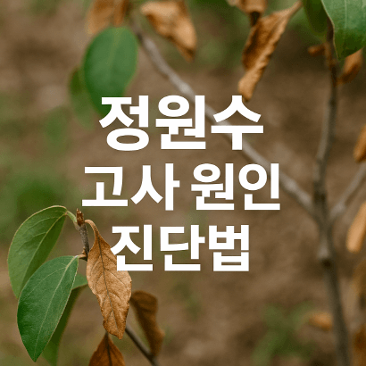 [정원가꾸기_실전편]왜 정원수가 죽을까? 고사 원인 12가지와 정확한 진단 방법