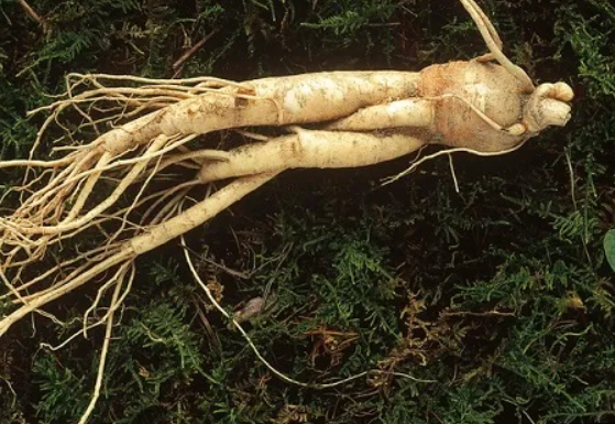 50๋ ํ์ผ ํจ๊ณผ, ์ง๊ธ๋ถํฐ ๋จน์ผ๋ฉด ๋ฌ๋ผ์ง๋ 5๊ฐ์ง ๋ณํ