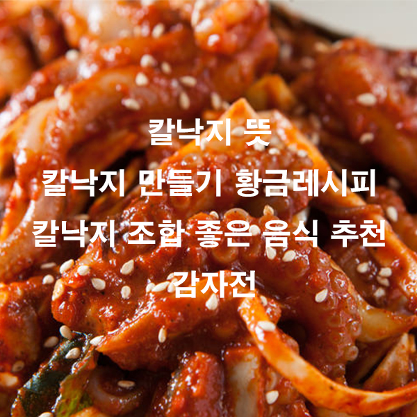 칼낙지 뜻 칼낙지 만들기 황금레시피 칼낙지 조합 좋은 음식 추천 감자전