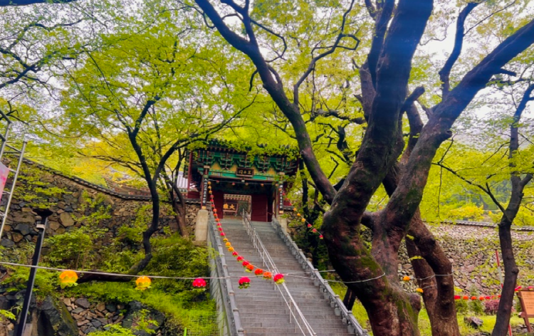 백양산 등산코스