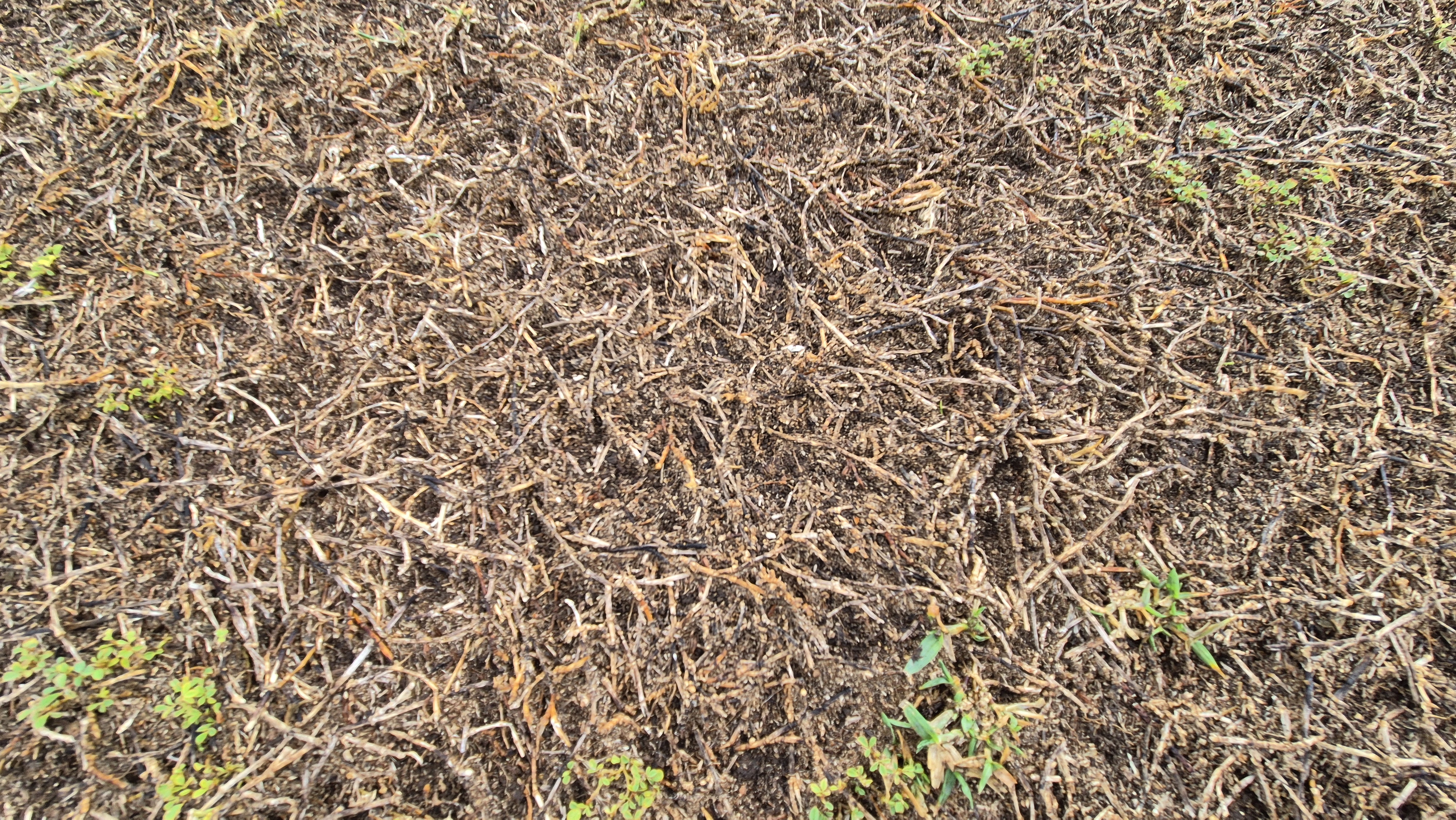 코랄오션cc 골프 라운드