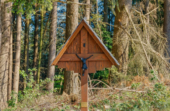 토지이용계획 확인원 신청 꿀팁 14