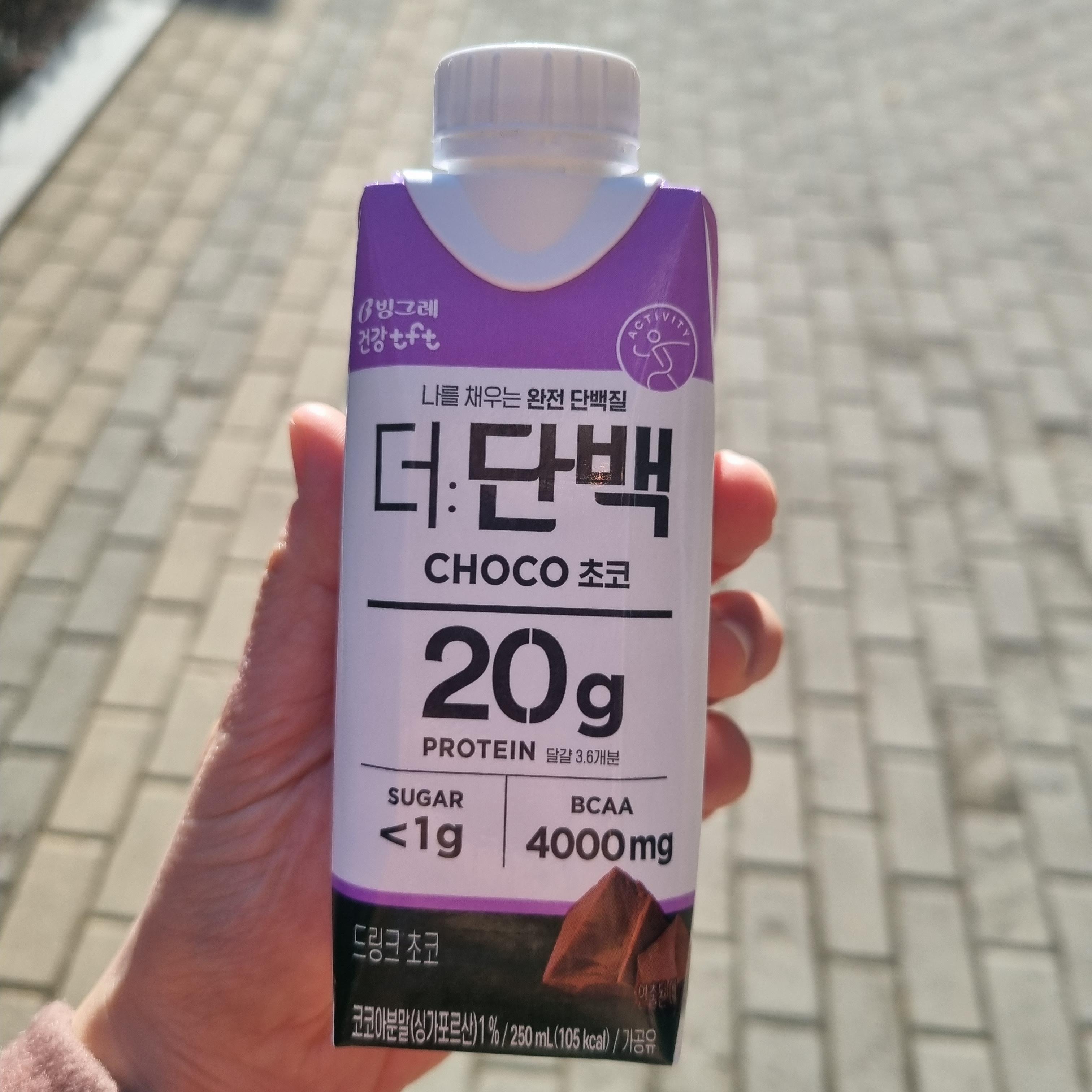 빙그레 더단백 초코맛