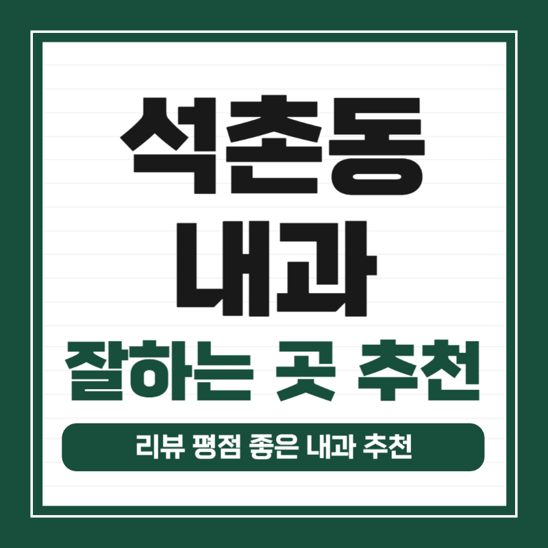 송파구 석촌동 내과 병원 24시 야간진료 유명한 곳 잘하는 곳 추천