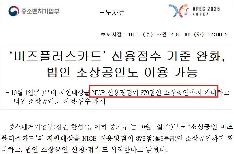 비즈플러스 카드 신청 자격 및 병원 사용처 법인 한도 
