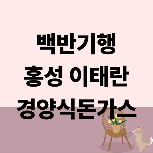 백반기행 홍성 경양식돈가스 생선가스 이태란