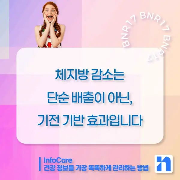 BNR17 유산균 효능, 복용법
