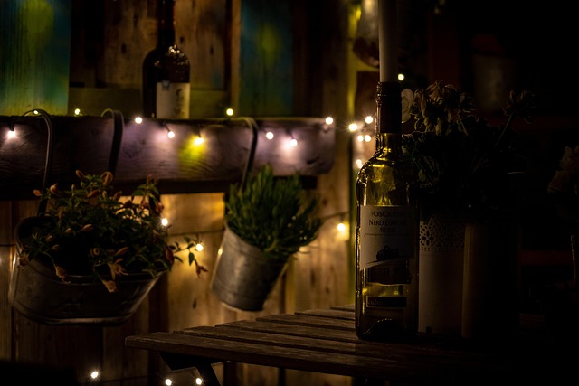 [정원 가꾸기_실전편] 정원 조명 디자인 가이드