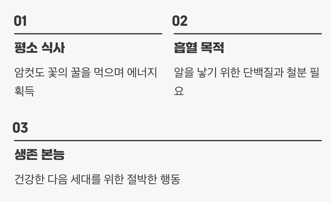 피를 빠는 진짜 이유, '엄마의 숙명'